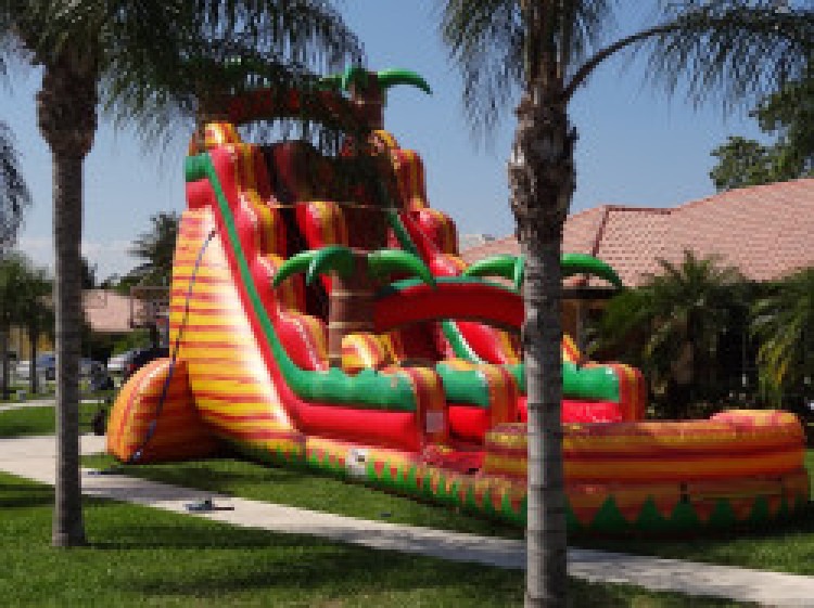 south of the border 6 1704208068 1704826353 big Safe Fun Bounce House Rentals in Broward County
