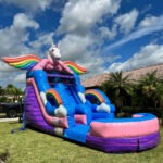 Water Slide Party Checklist Hollywood FL